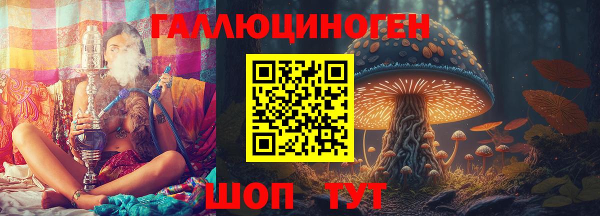 Псилоцибиновые грибы Psilocybe Армавир